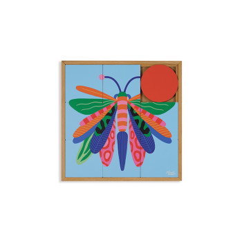 Odonata
