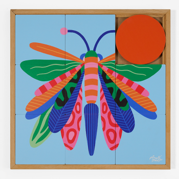 Odonata