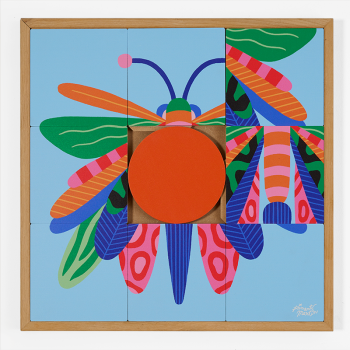 Odonata