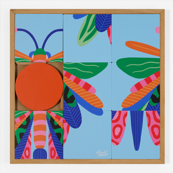 Odonata